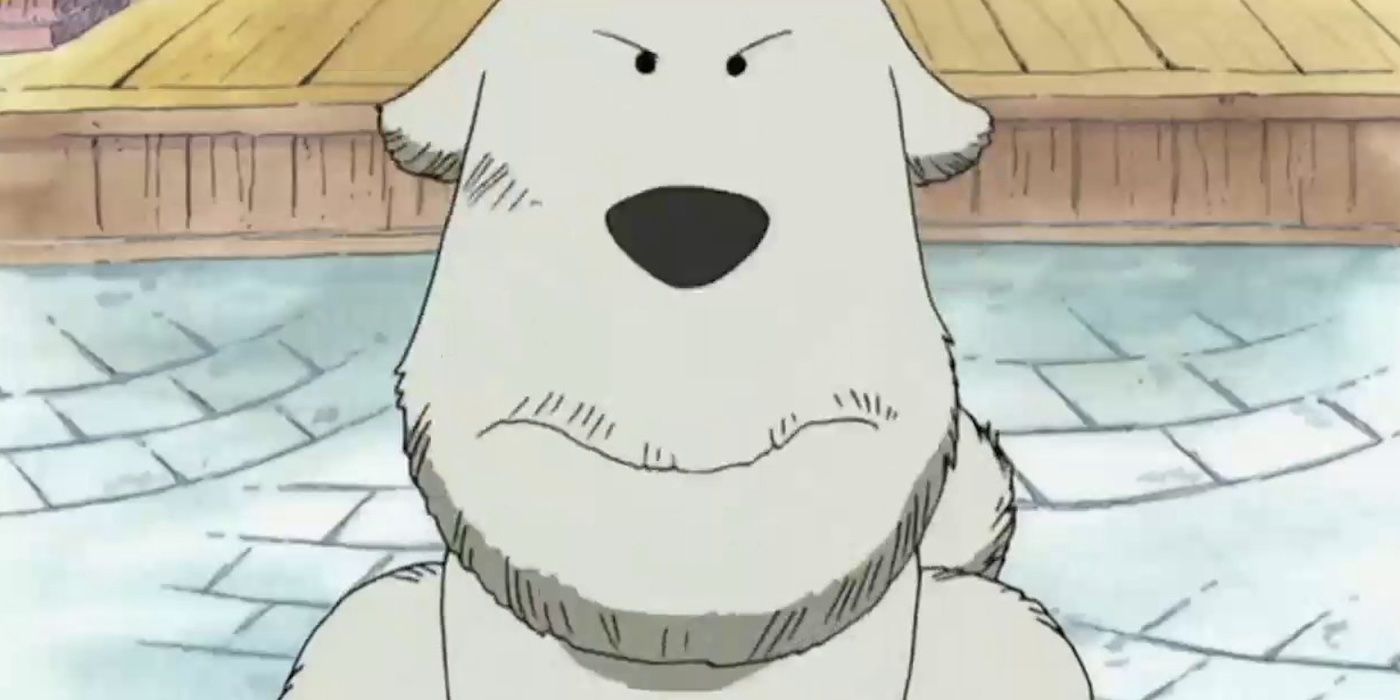 Chouchou the dog from One Piece