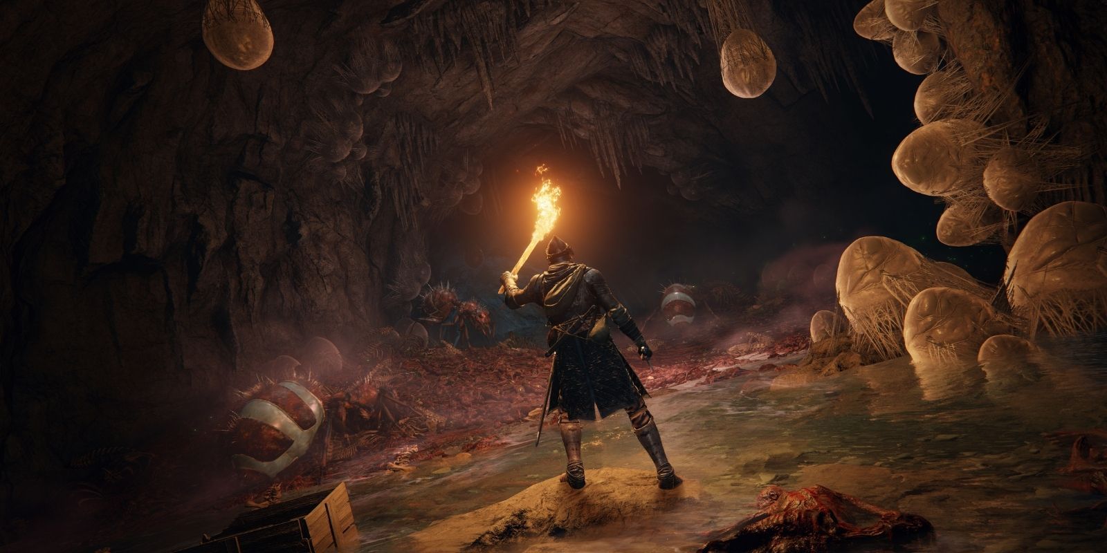 A character in Elden Ring lighting up a cavern with a torch