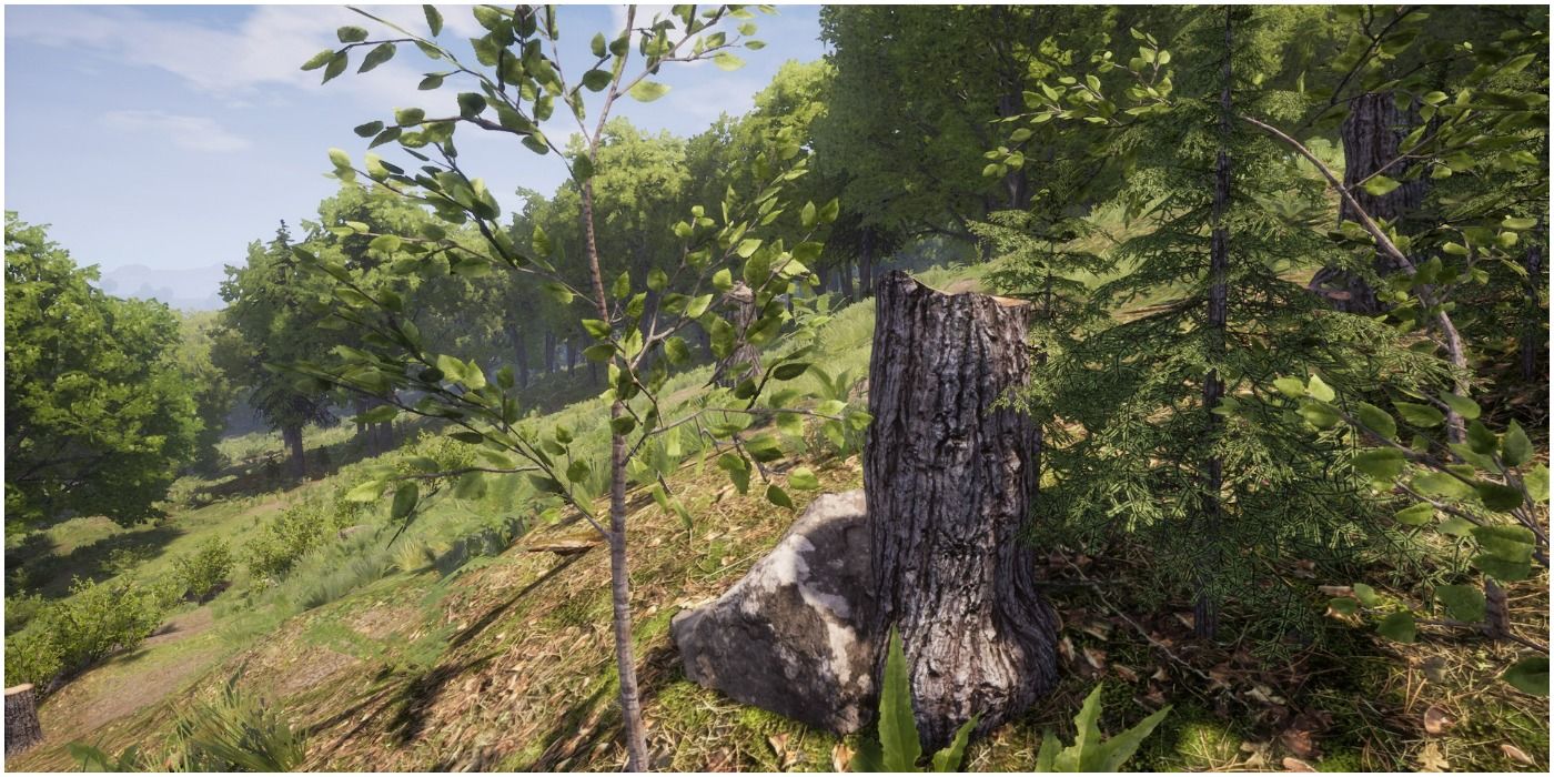 Medieval Dynasty Forestry Expert Tips Tricks Revealed - jreotqu