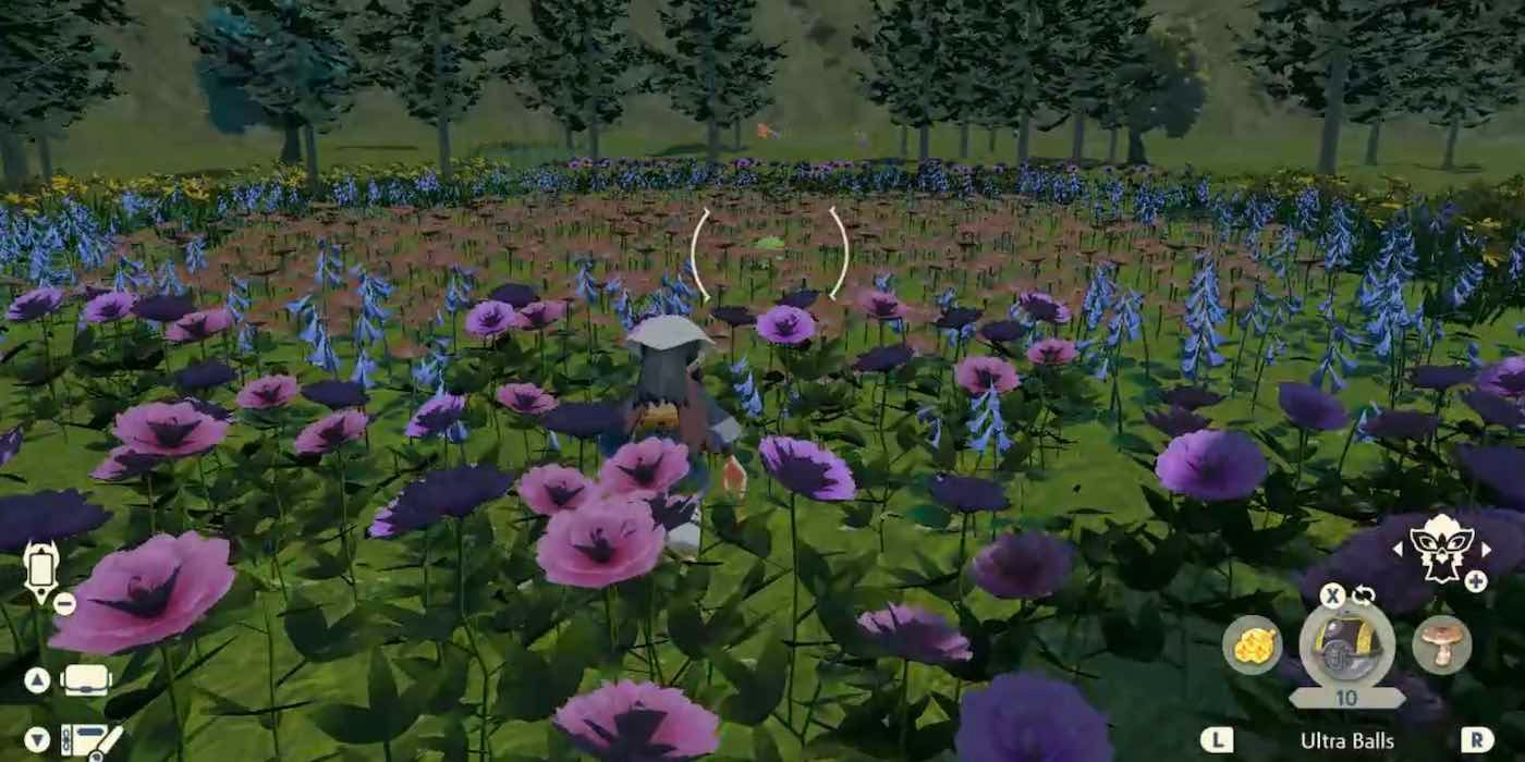 Pokémon Legends: Arceus Shaymin roaming in a field of Gracidea flowers.