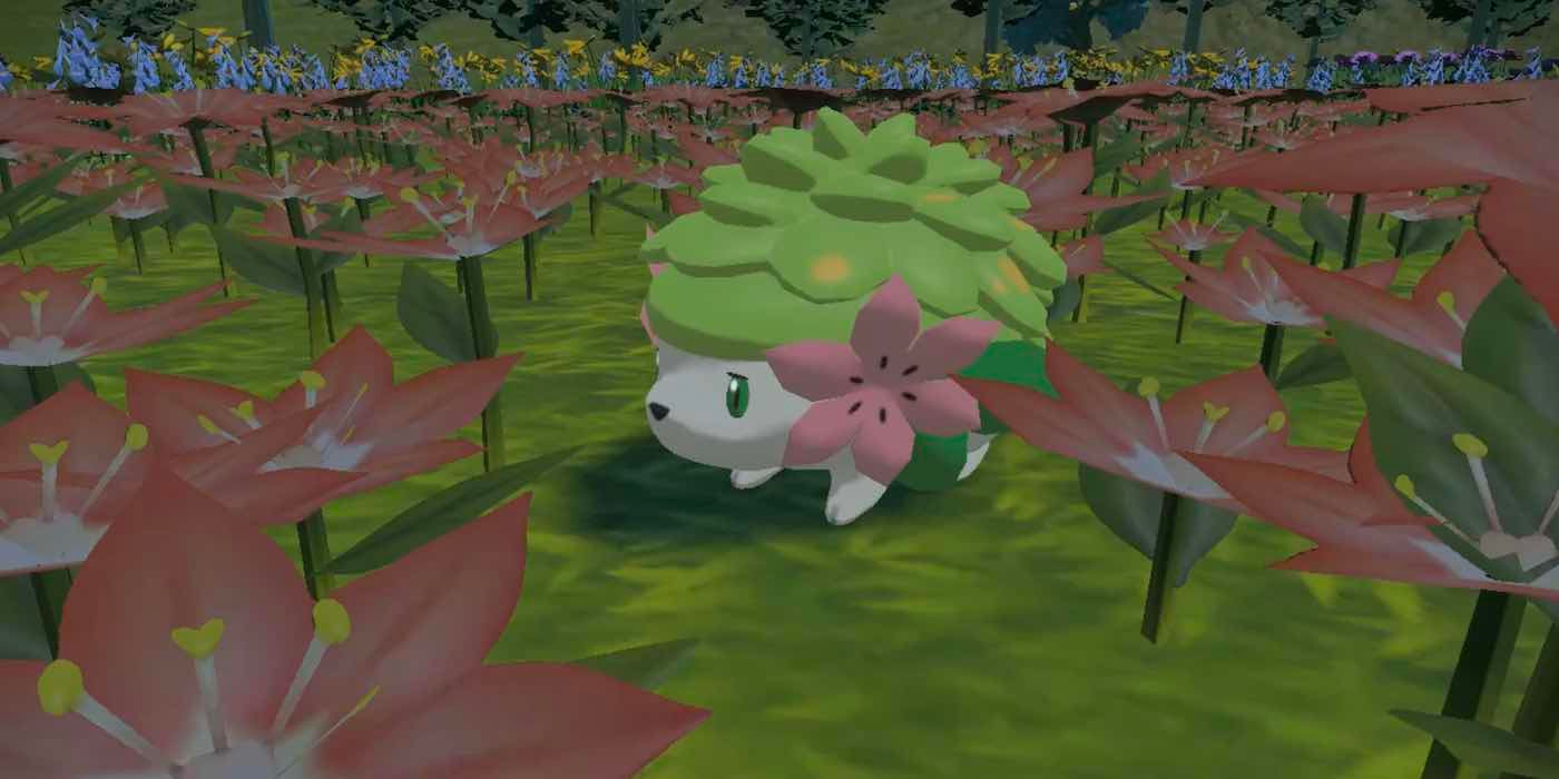 How to transform Shaymin to sky form in Pixelmon 