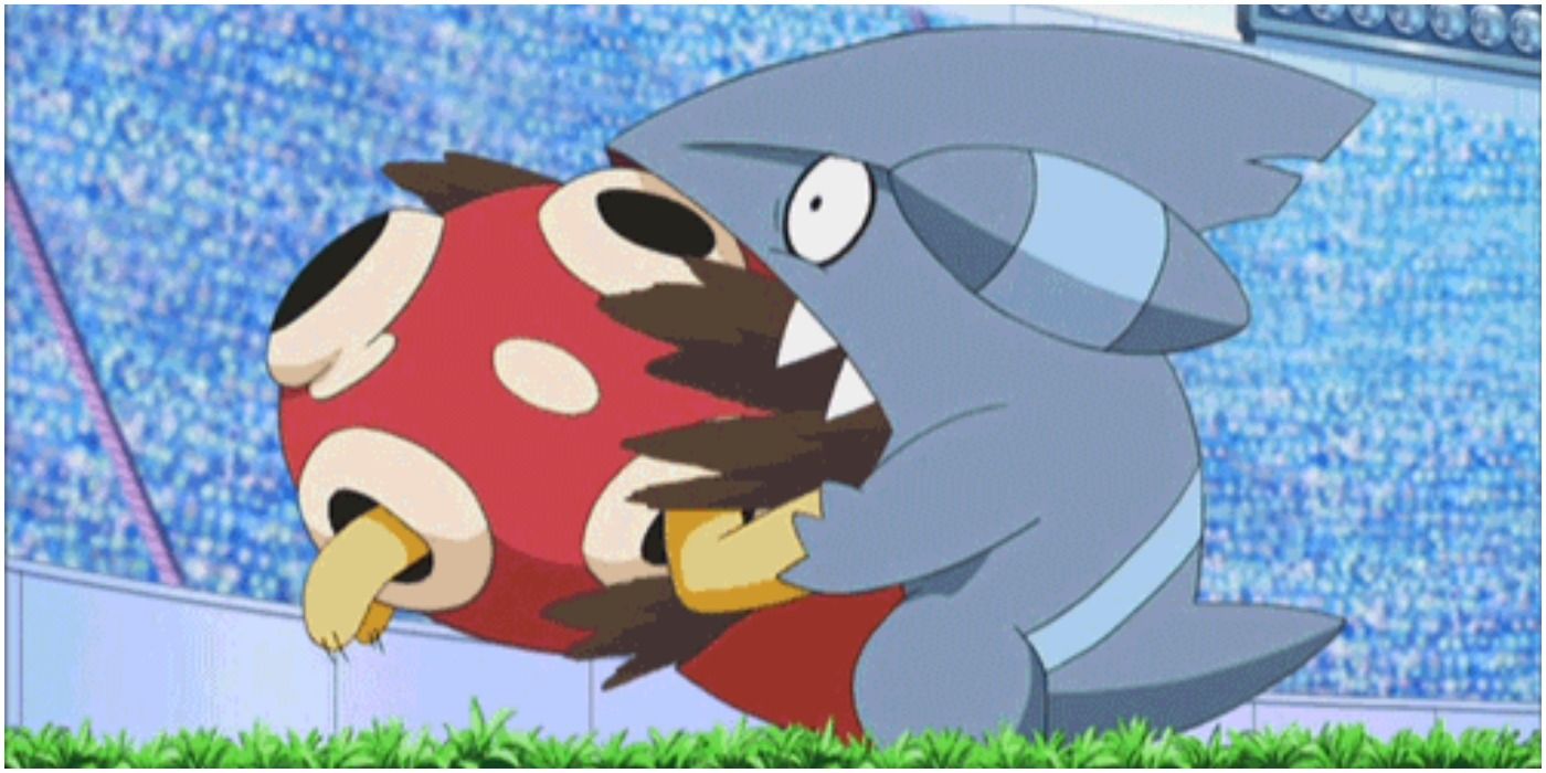 Conway's Shuckle Using Sludge Bomb On Gible in the Pokemon anime