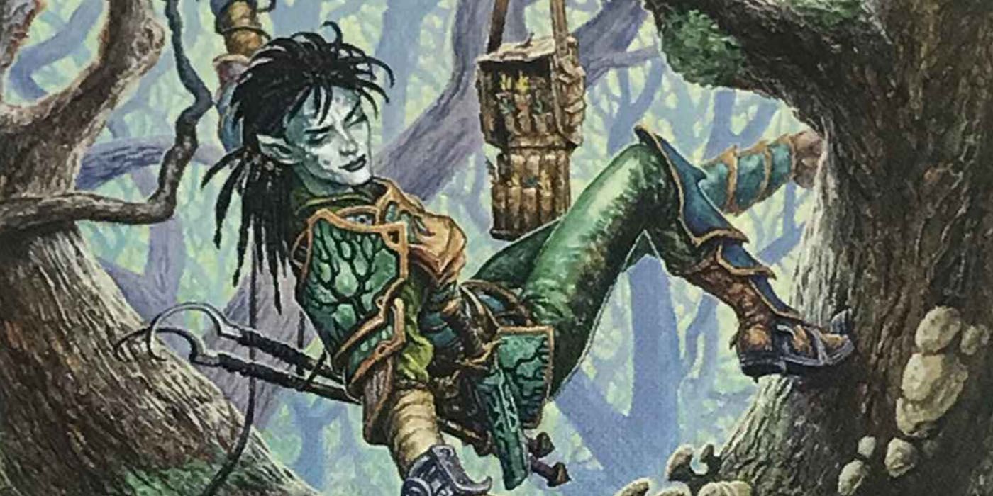 A ranger in the forest in dungeons and dragons.