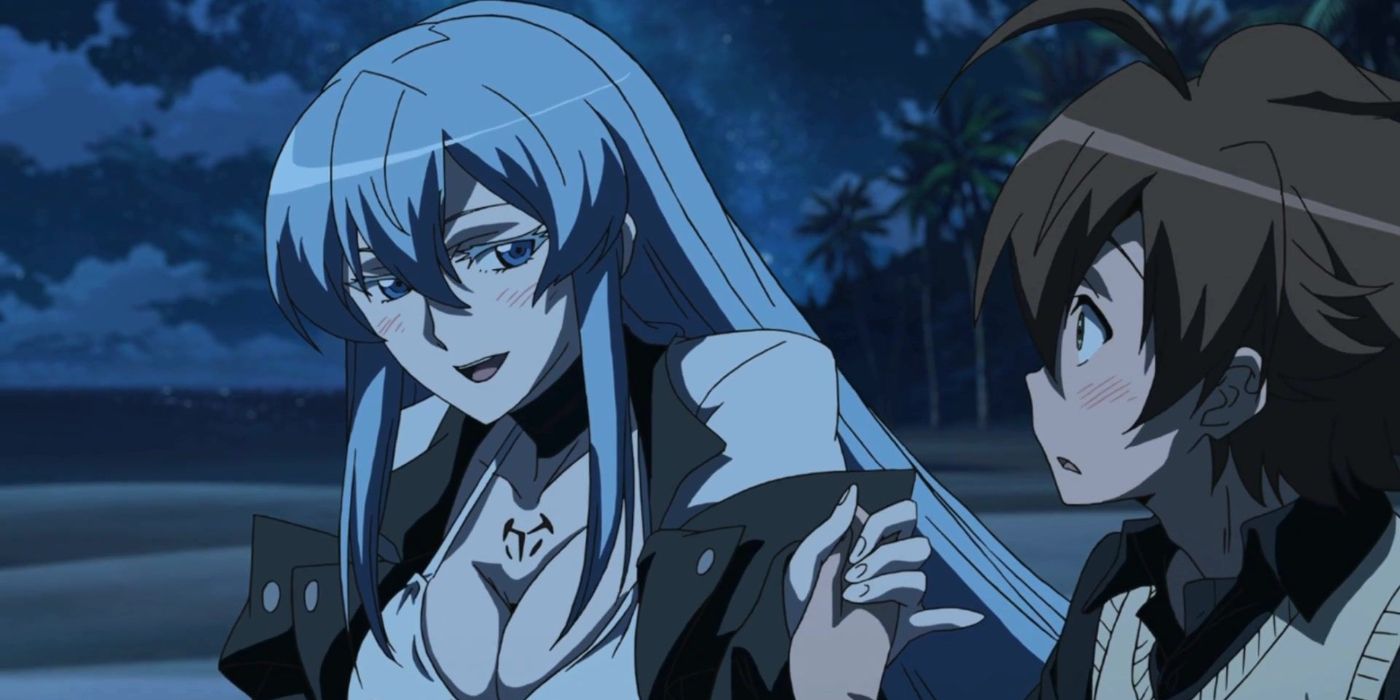General Esdeath and Tatsumi looking at each other on a beach in Akame Ga Kill!.