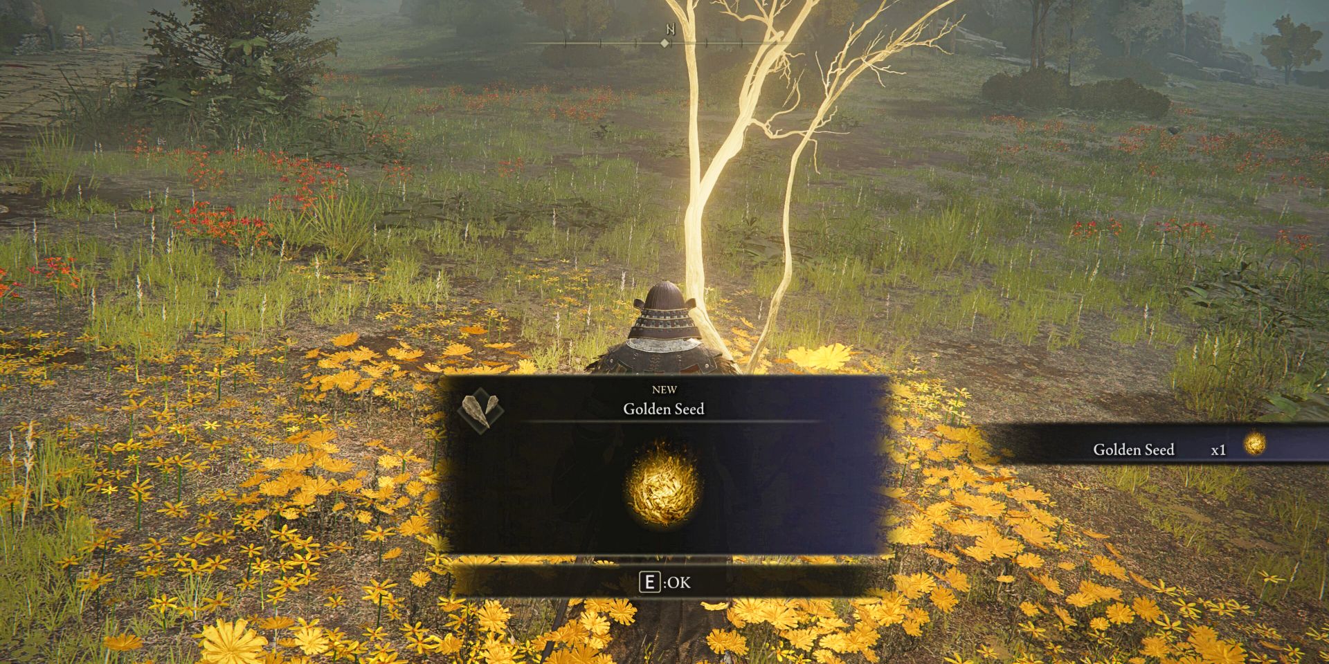 Elden Ring Which Keepsake Should You Pick?