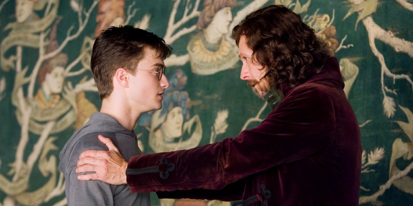 Harry and Sirius having a heartfelt chat in Grimmauld Place