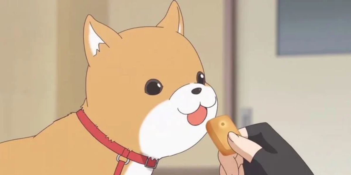 Top 10 Cutest Anime Animals Of All Time, Ranked