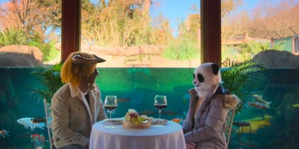 A wildebeest and a panda in a date in Sexy Beasts on Netflix