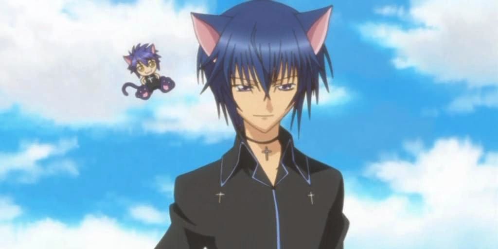 Falon PNGTuber neko boy cute fofo catboy Vtuber | Cute anime cat, Anime cat  boy, Anime fox boy