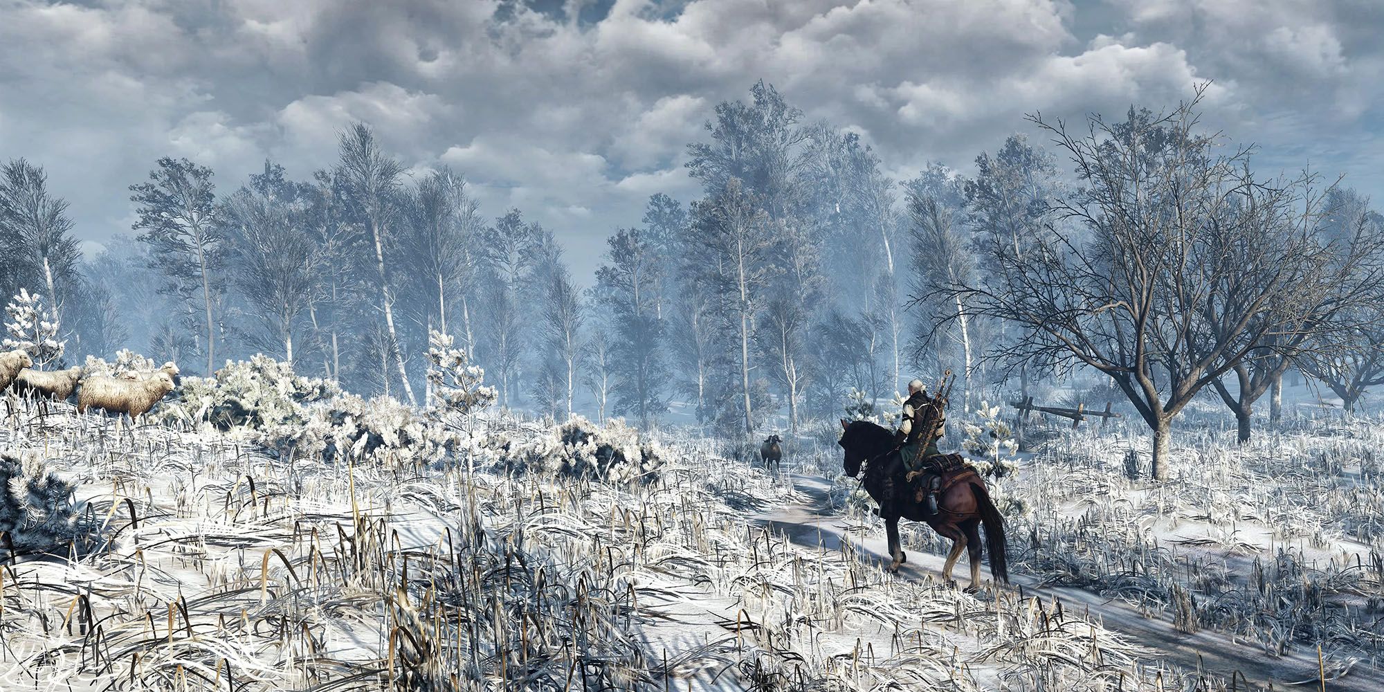 10 Things Fans Want to See From the Witcher 4