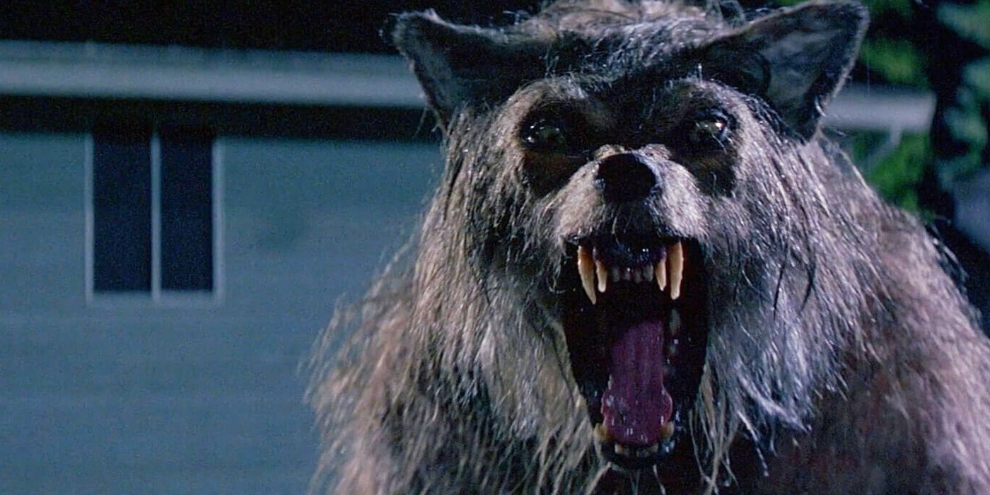 The transformed werewolf from Bad Moon movie