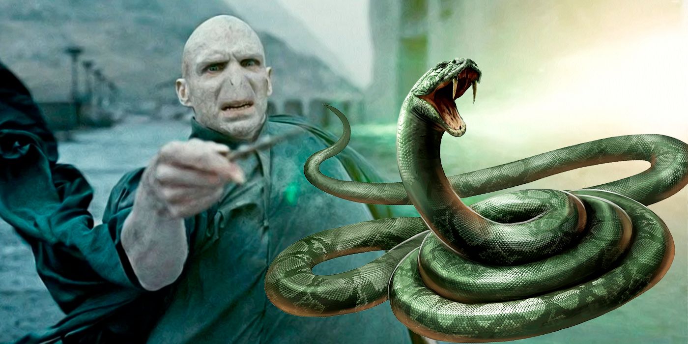 Nagini Adalah Anak Voldemort Mengulik Teori Kontroversial Harry Potter   Voldemort Nagini 