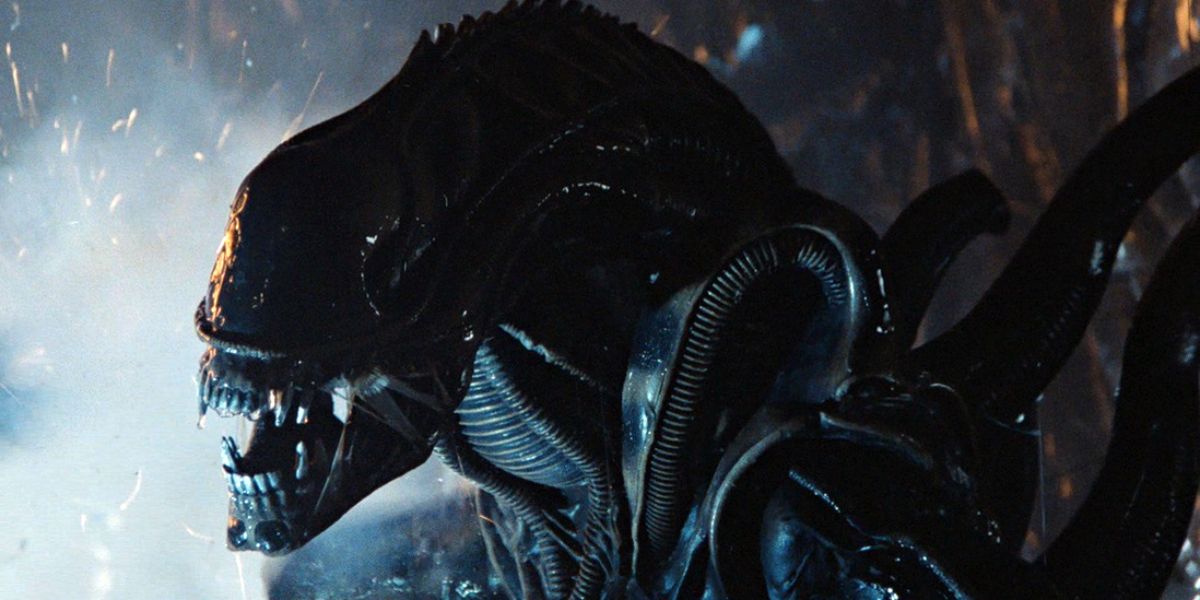 A close up of a xenmorph in Aliens