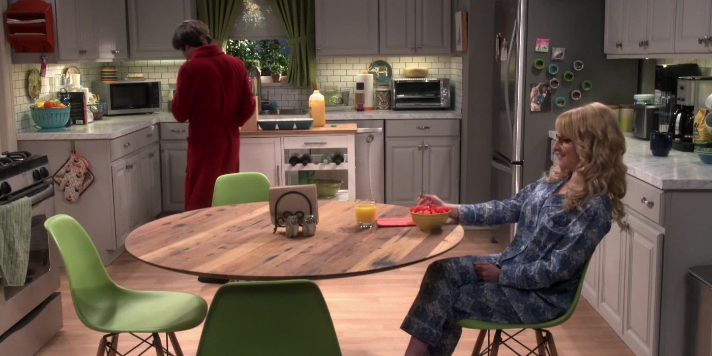 The Big Bang Theory 10 Times Bernadette Proved She Loved Howard