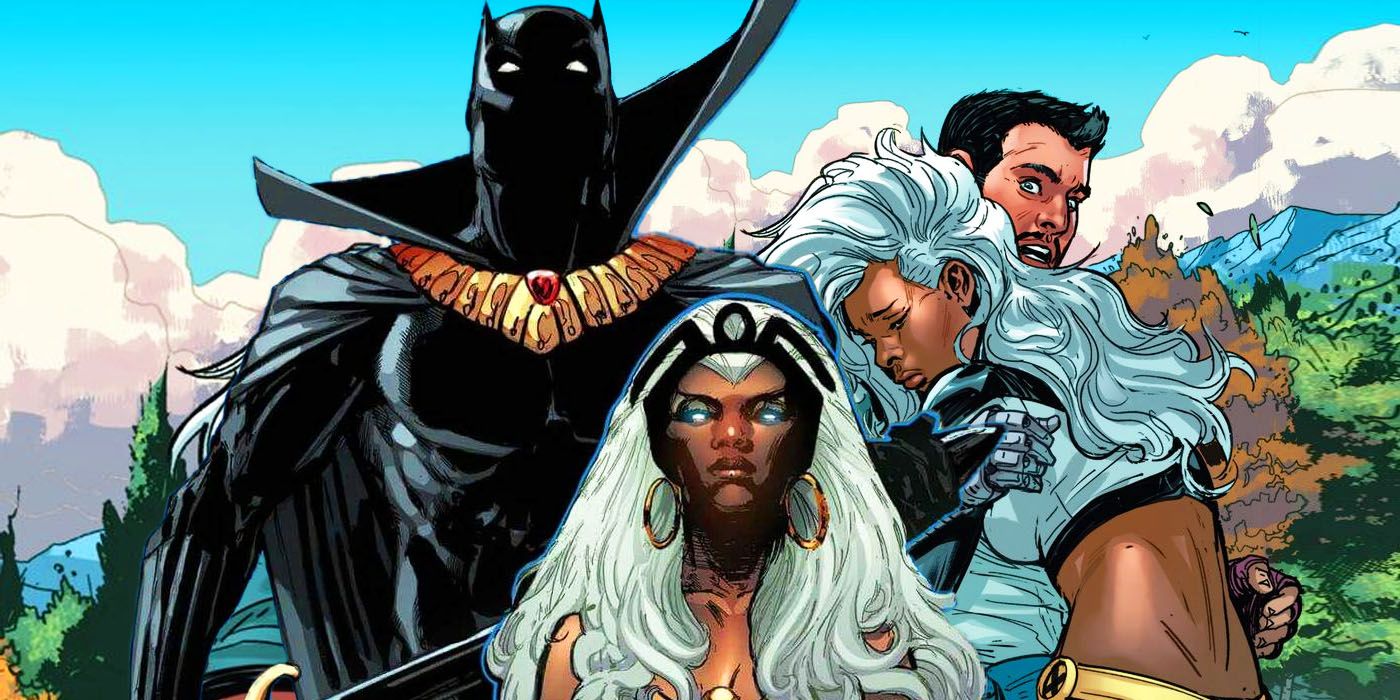 black panther and storm costumes