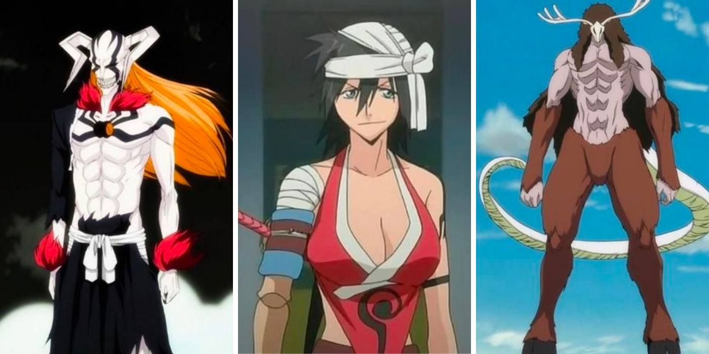 Bleach Differences between Manga and Anime 