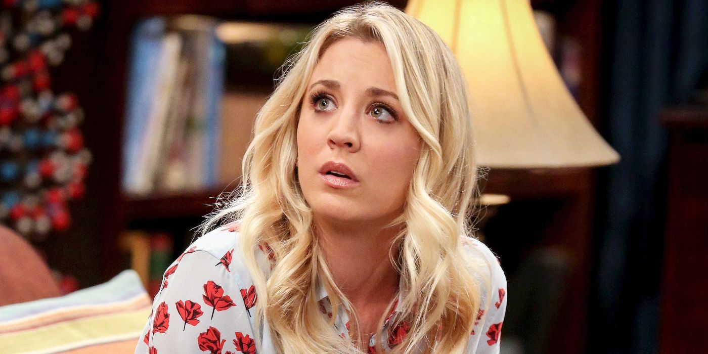 The Big Bang Theory 8 Characters Who Got Way More Popular Since The Beginning