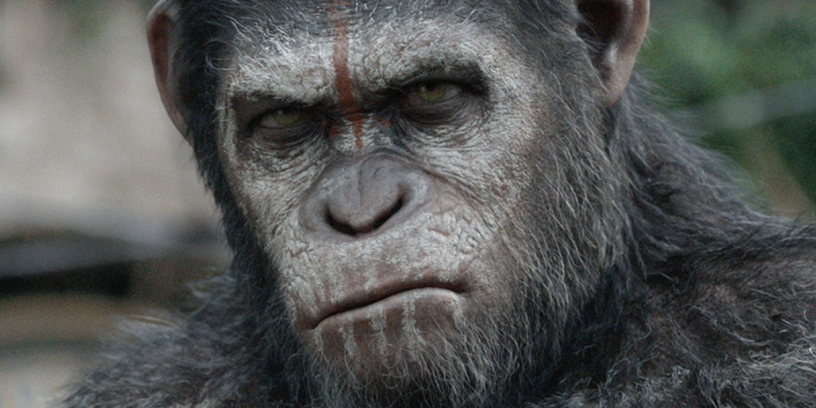 Close up of Caesar frowning in Planet of the Apes
