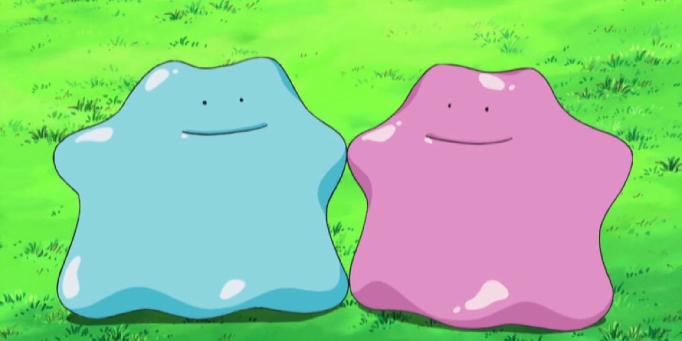 Ditto and Shiny Ditto become friends in Pokémon.