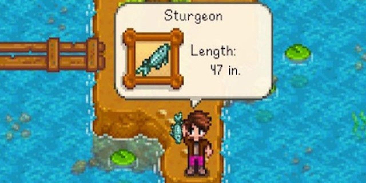 A player catching a Sturgeon fish in Stardew Valley