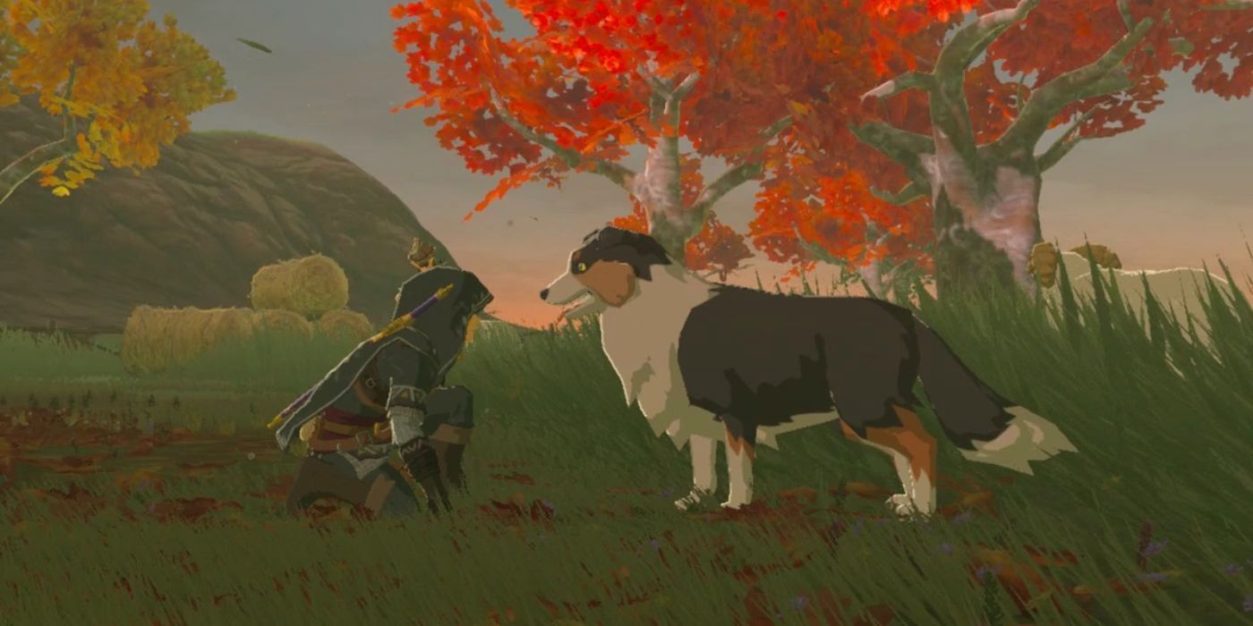 Link with a dog in Breath of the Wild