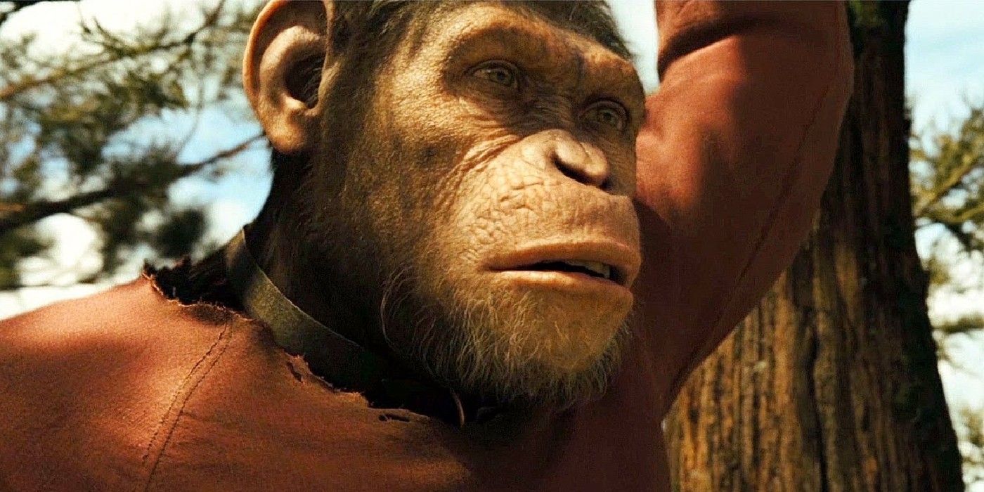 Объяснение временной шкалы «Новой планеты обезьян»