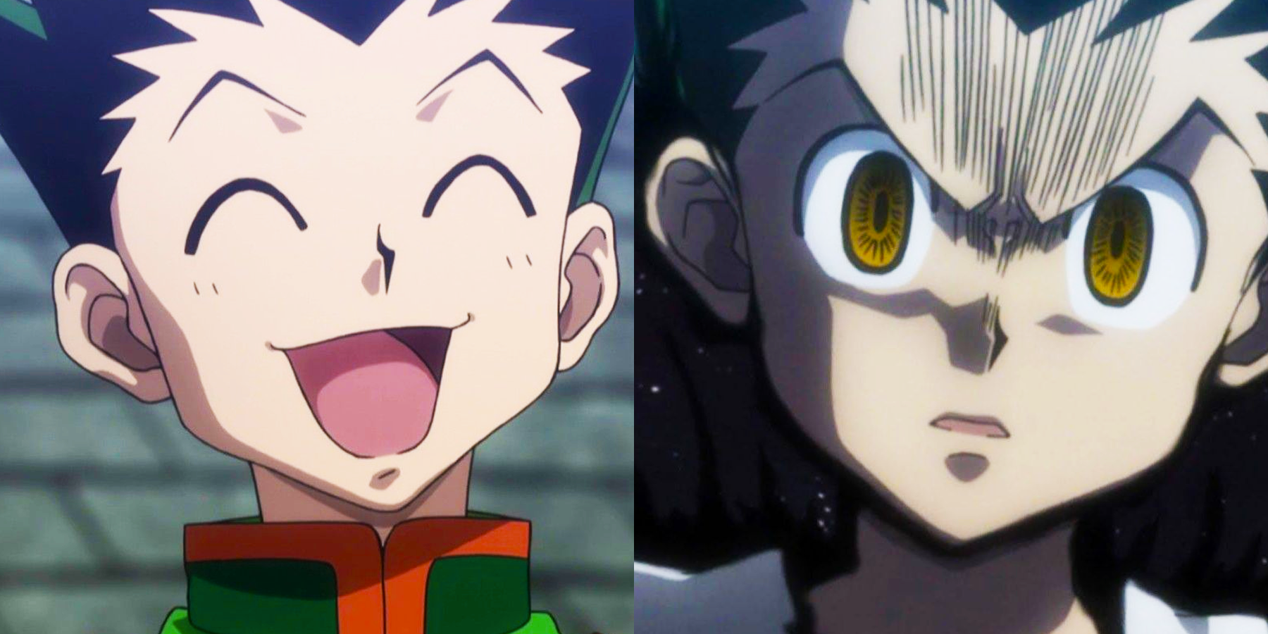 Gon Loses It Hunter X Hunter 