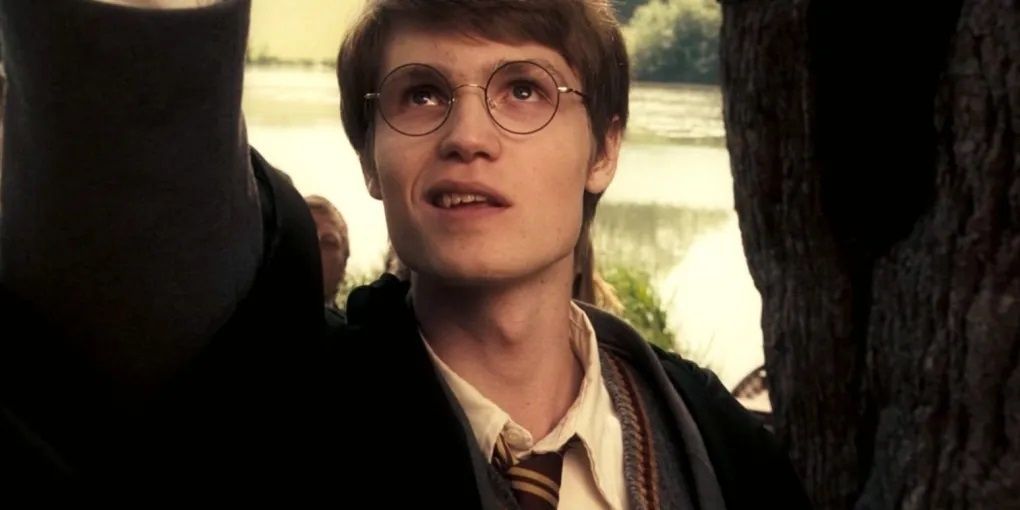 Гарри Поттер: объяснение сложного наследия Джеймса Поттера