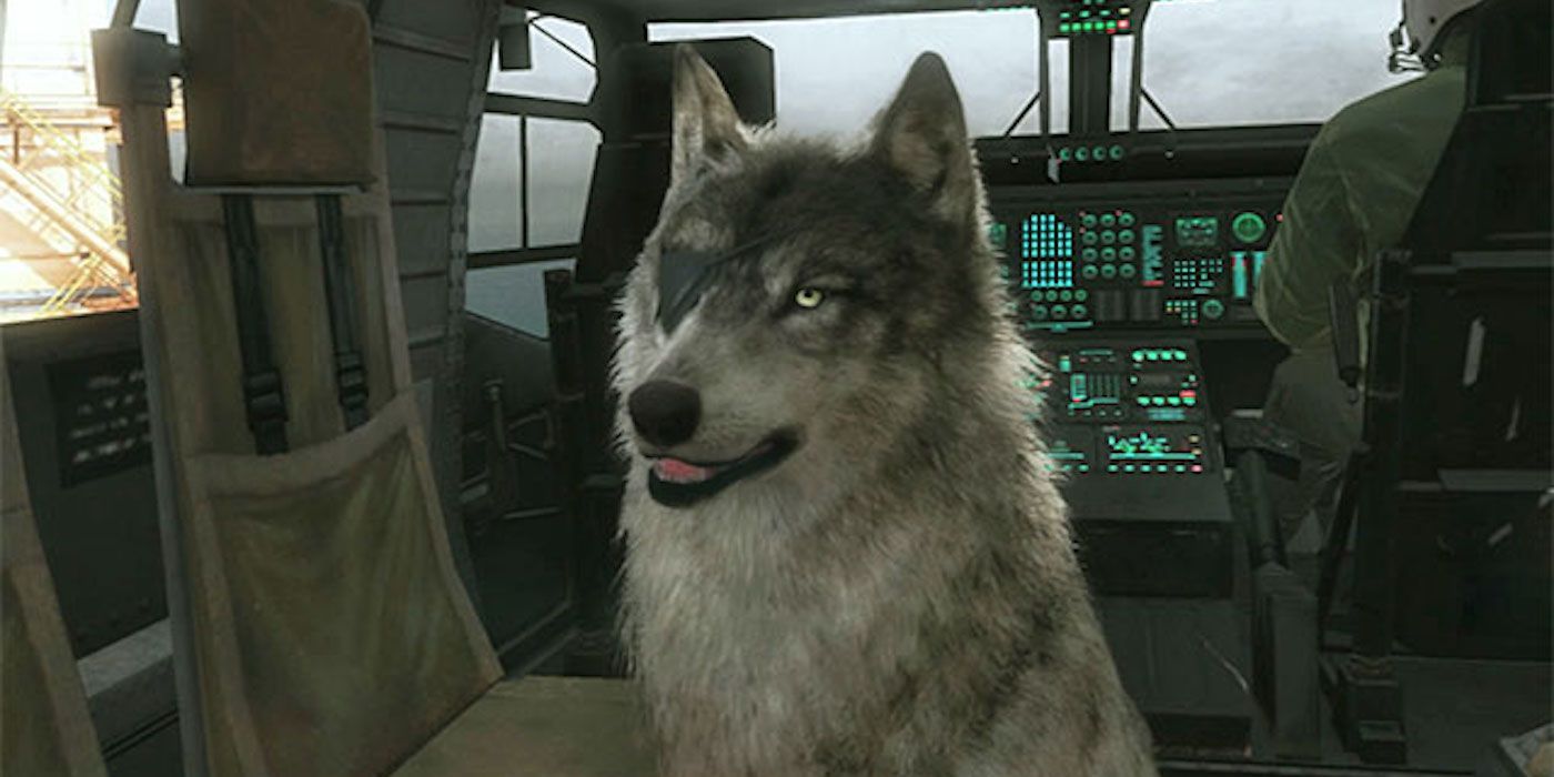 Diamond Dog (or D-Dog or DD) in Metal Gear Solid V The Phantom Pain