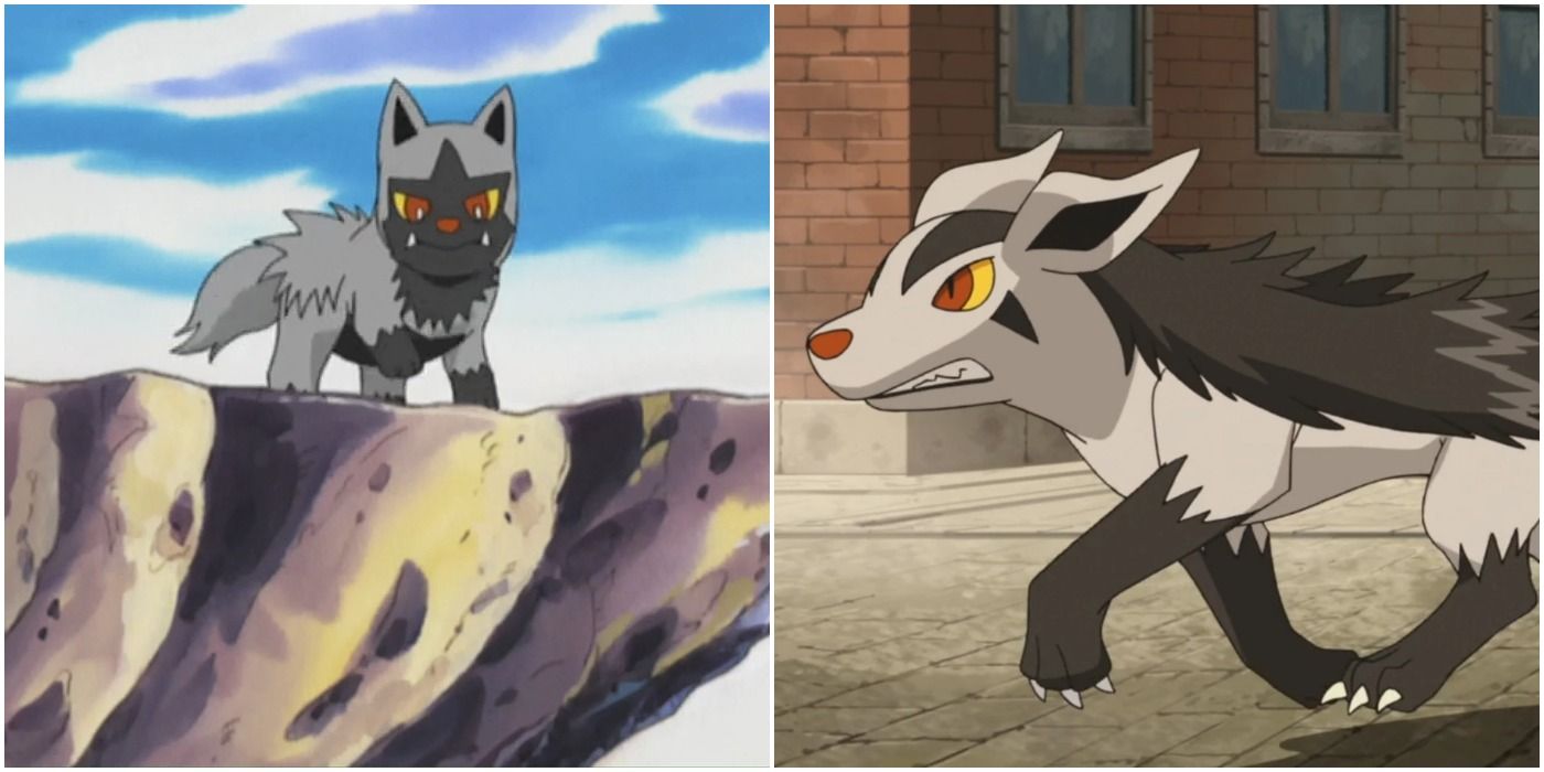 Poochyena and Mightyena in the Pokémon anime