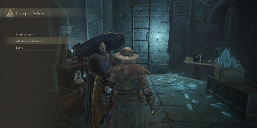 Guide Silovis, servant of Rani and the National Council of the Elden Ring