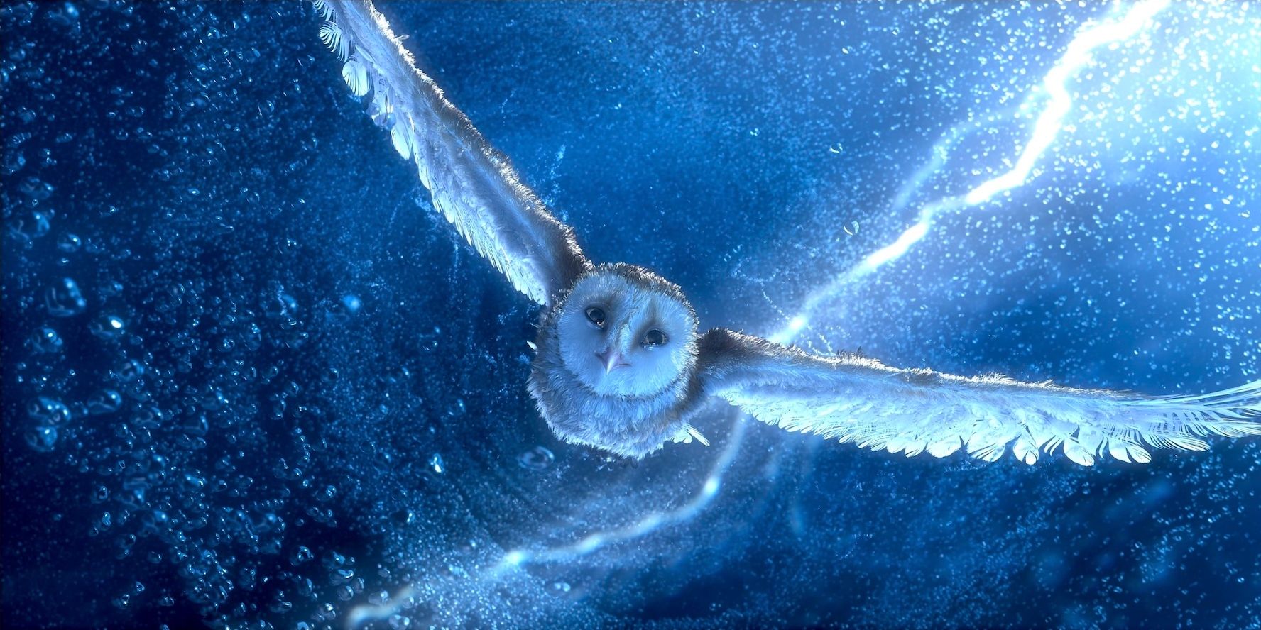 Legend of the Guardians: The Owls of Ga'Hoole ZACK SNYDER