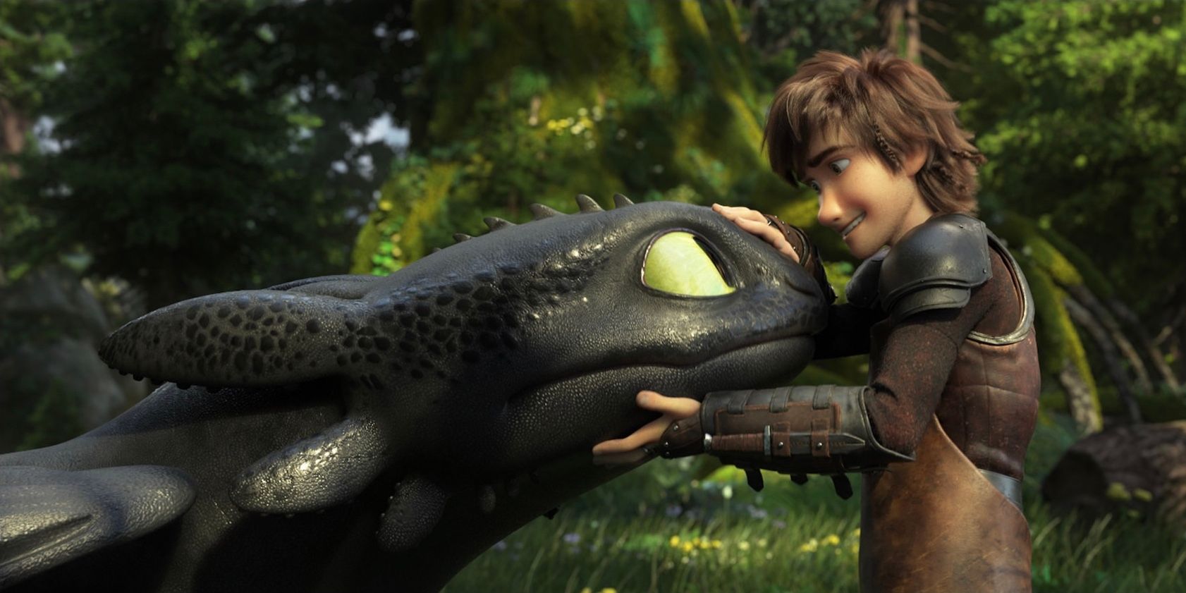 How To Train Your Dragon 2010 TOOTHLESS HICCUP
