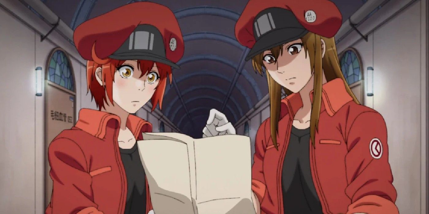 The Red Blood Cells check their map in Cells At Work.