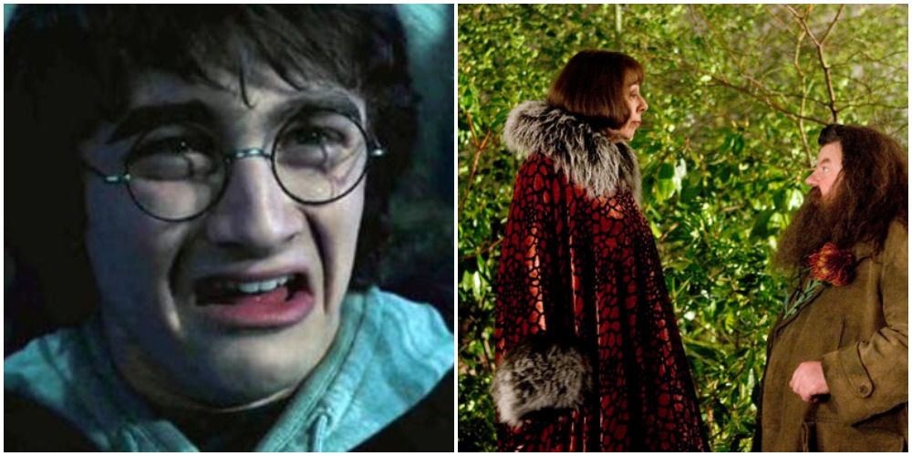 Each Main Character's Funniest Scene In Harry Potter