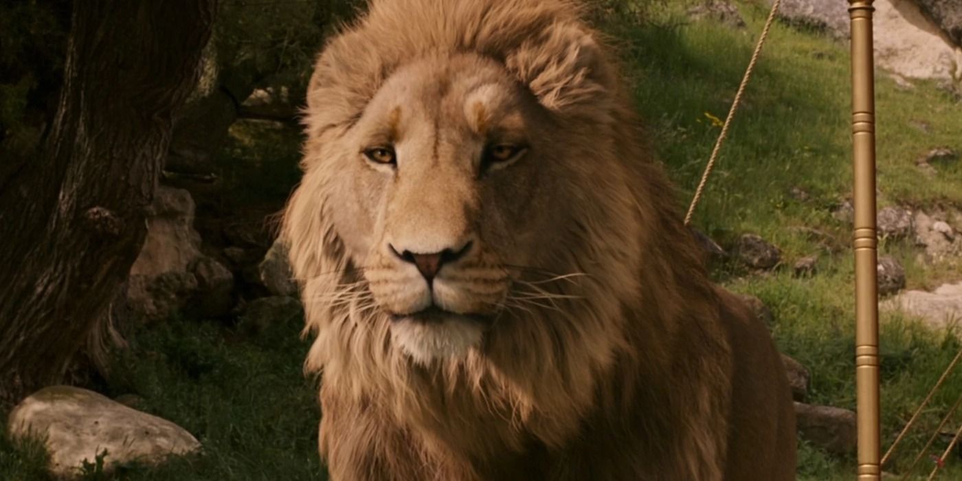 Greta Gerwig's Chronicles of Narnia Reboot Gets Major Production Update