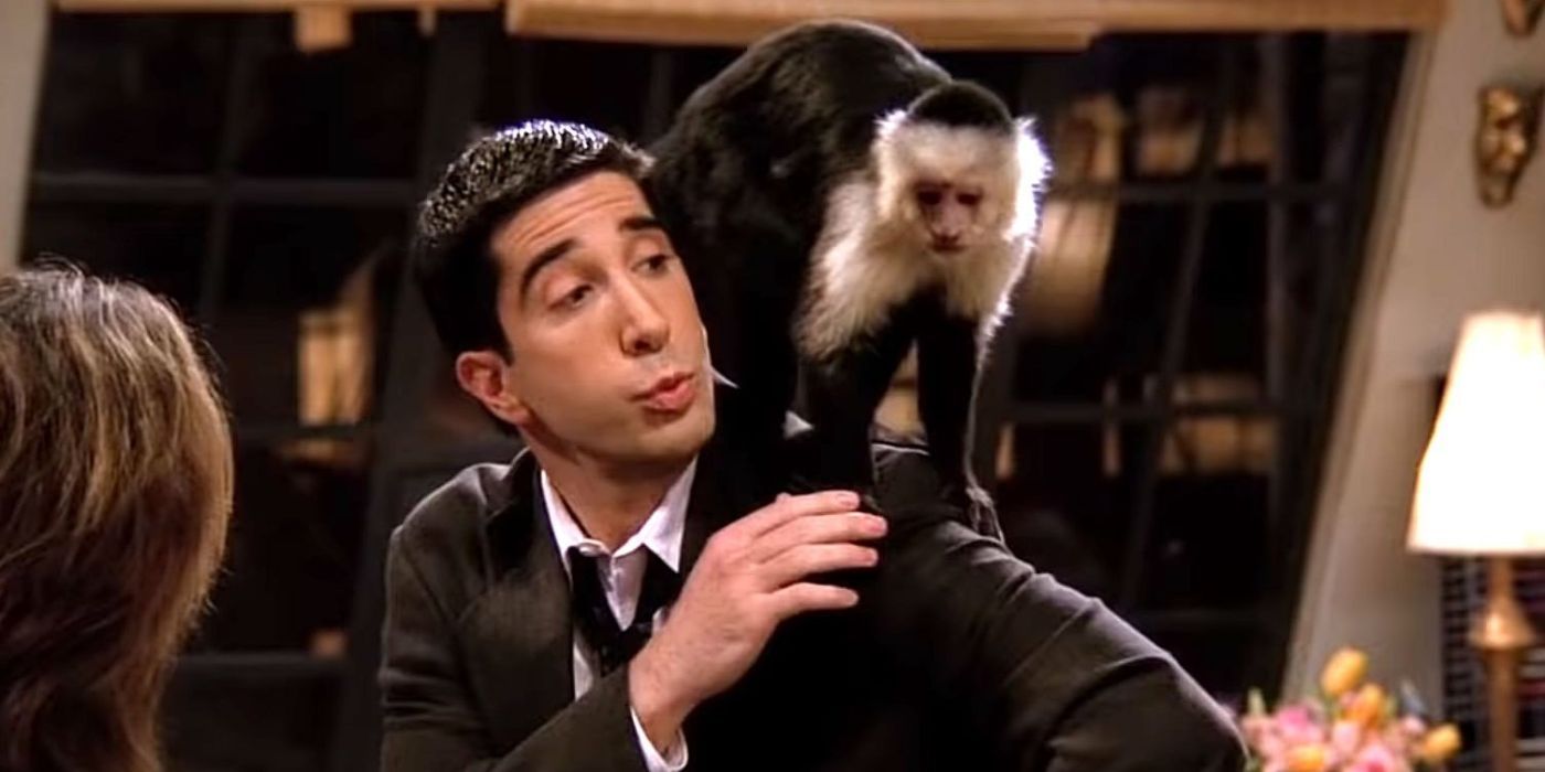 Ross and Marcel the monkey in Friends
