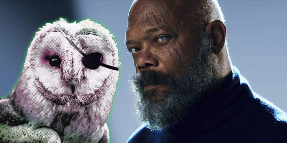 an owl with an eyepatch next to nick fury from secret invasion