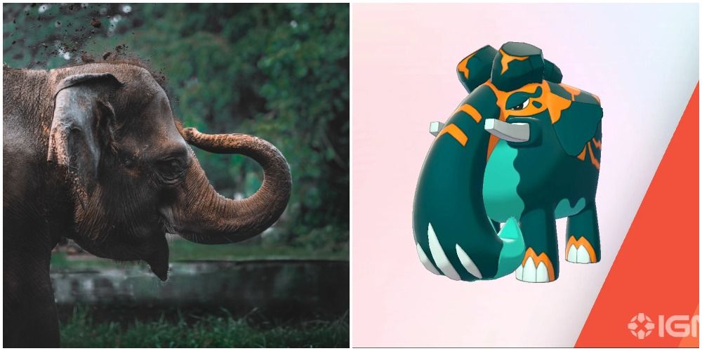 an indian elephant and the pokemon copperajah