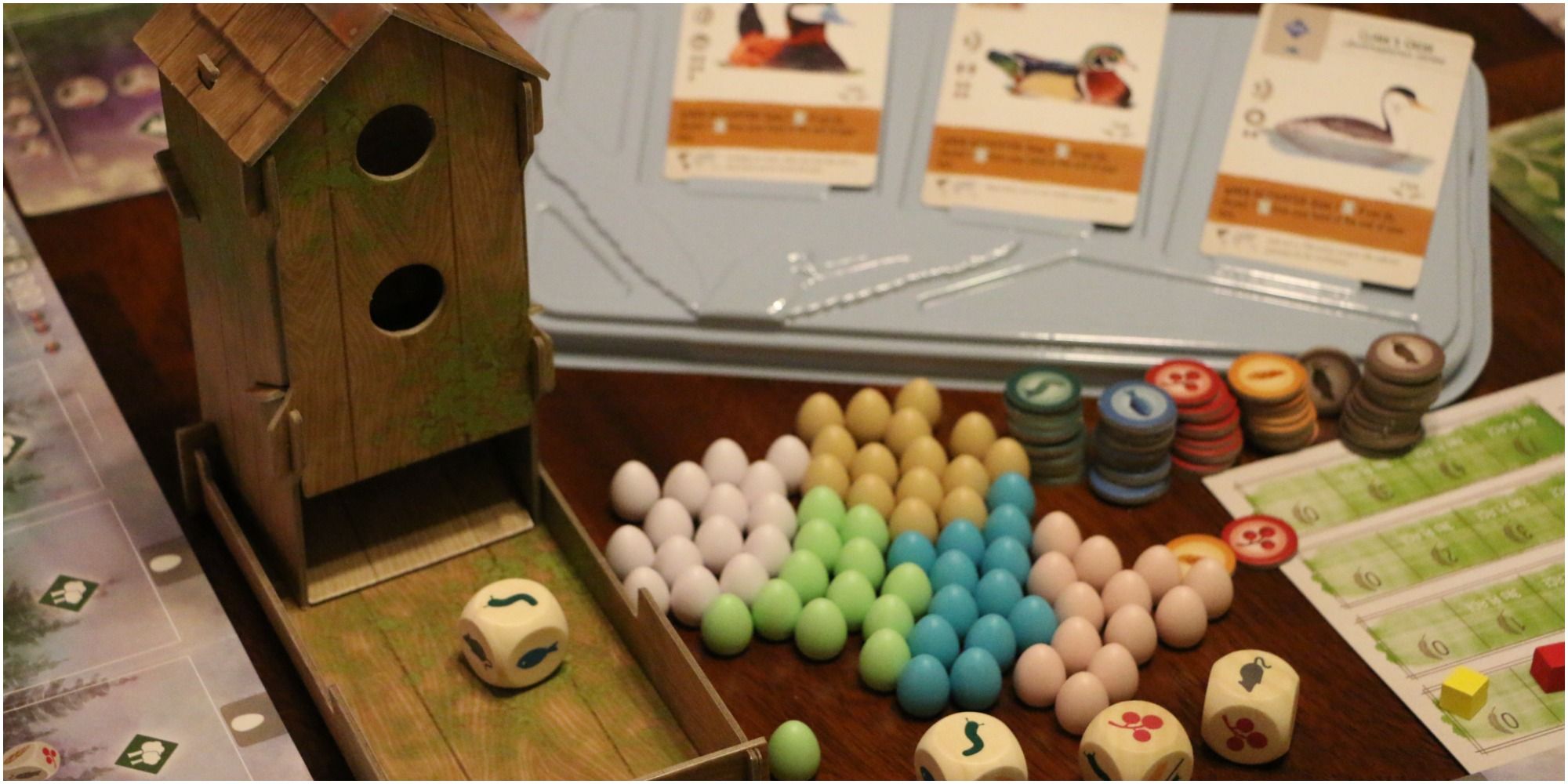 Več elementov za igro Wingspan, vključno s kockami, kartami in miniaturami jajc.