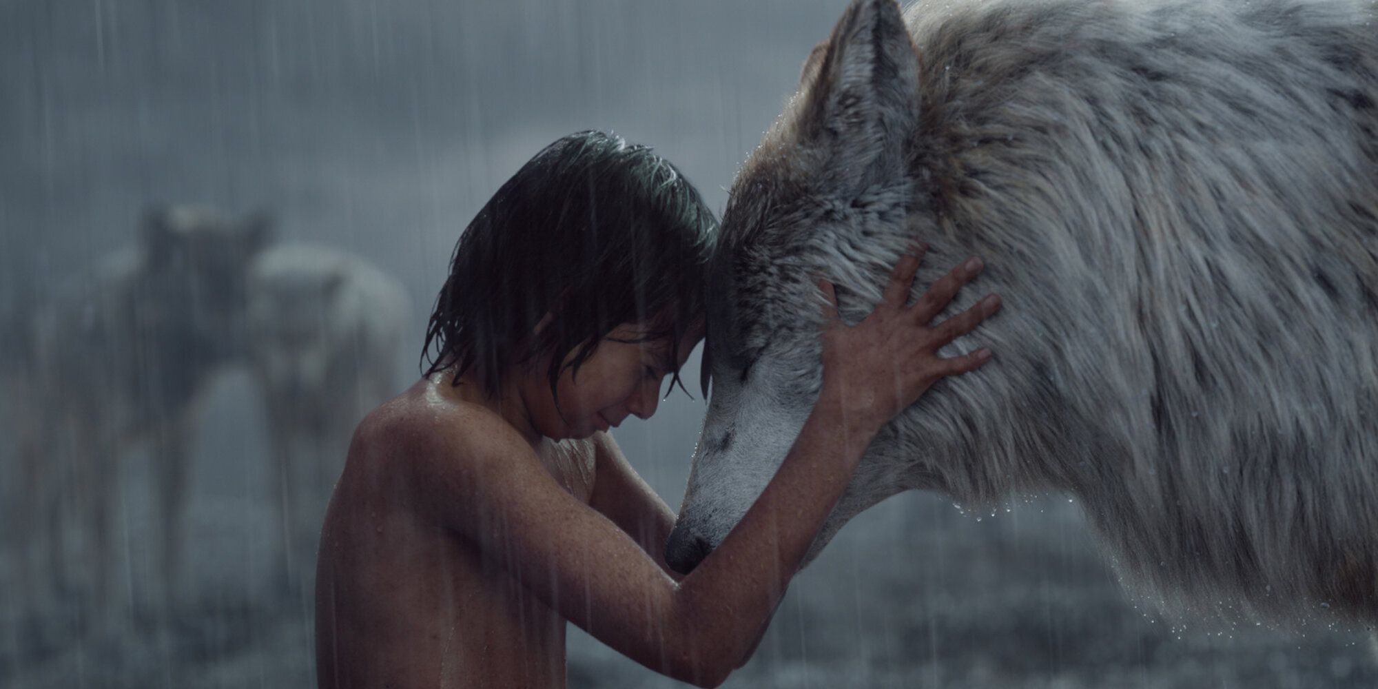 Mowgli touching heads with akela in the jungle book