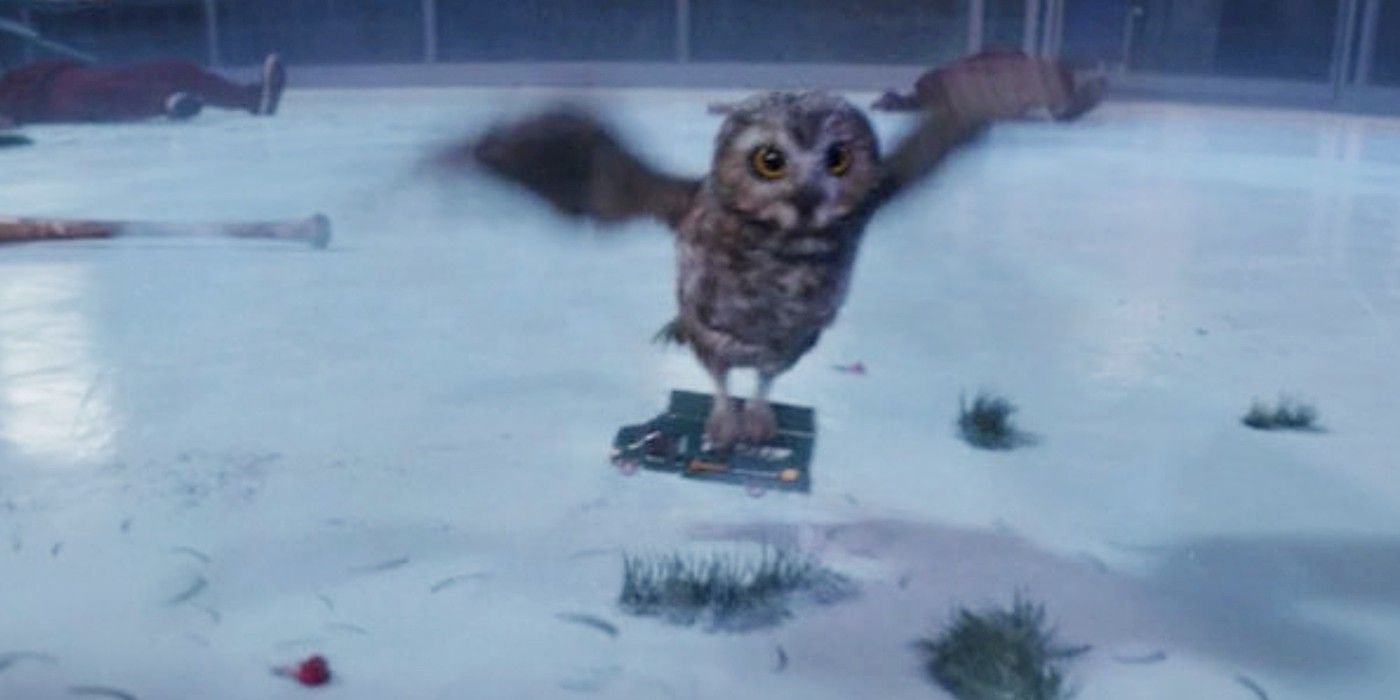 An Owl Picks Up The Bros In Hawkeye