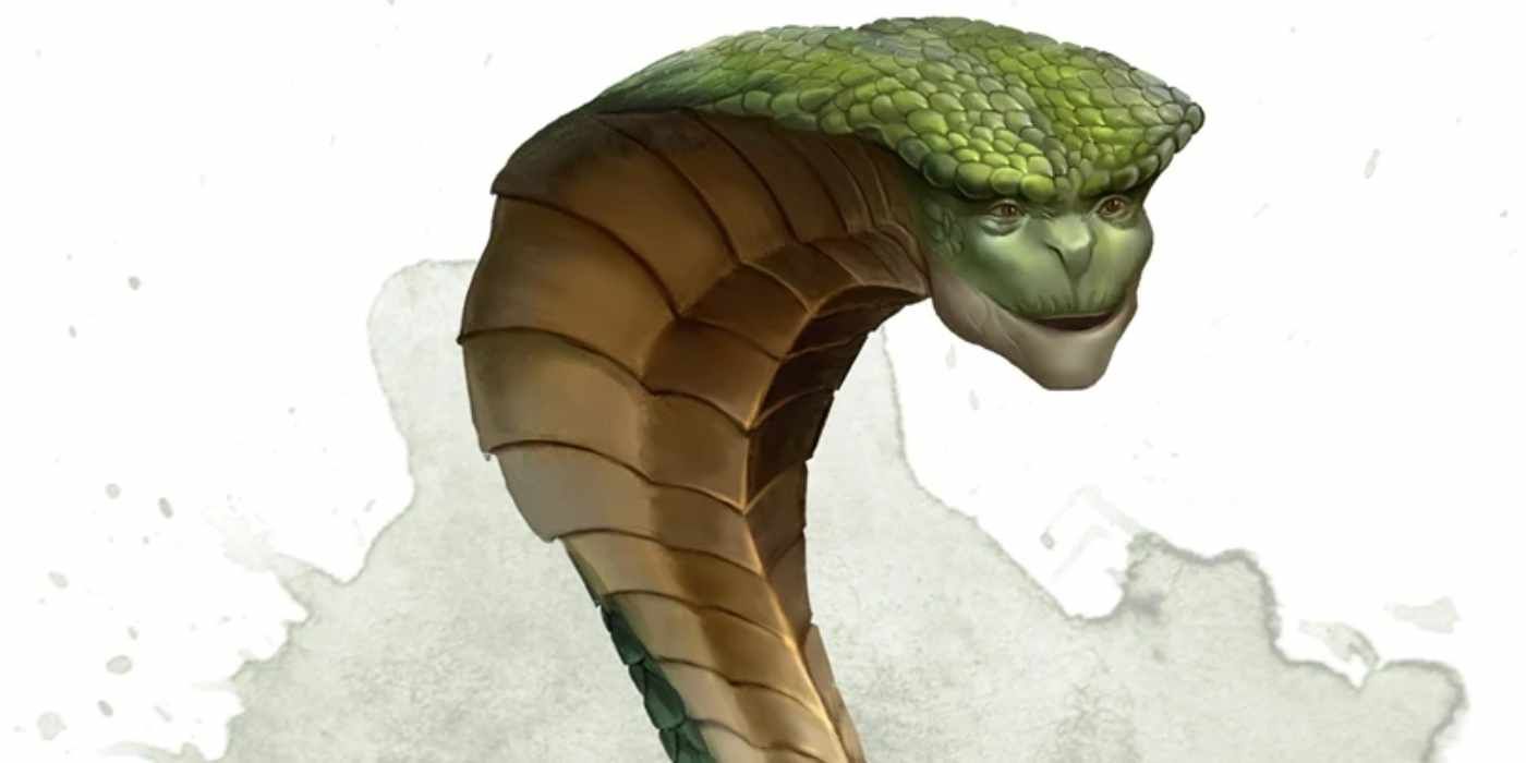 Dnd guardian naga snake with a human face