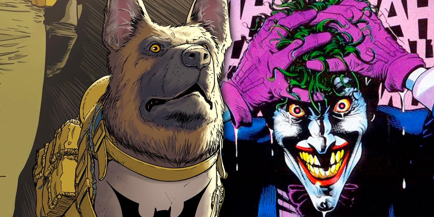 Joker Named Batman's Dog Ace the Bat-Hound