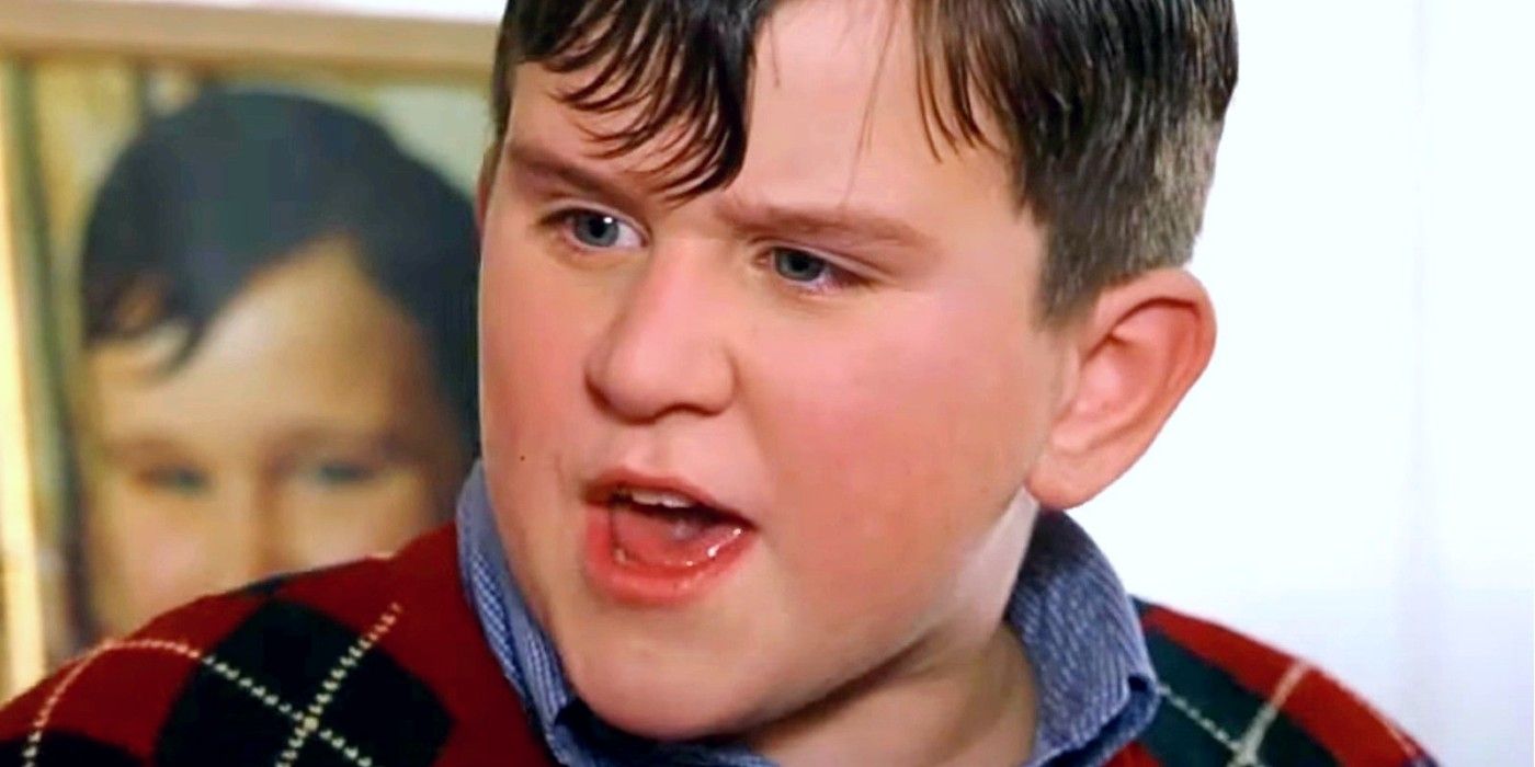Dudley Dursley in Harry Potter
