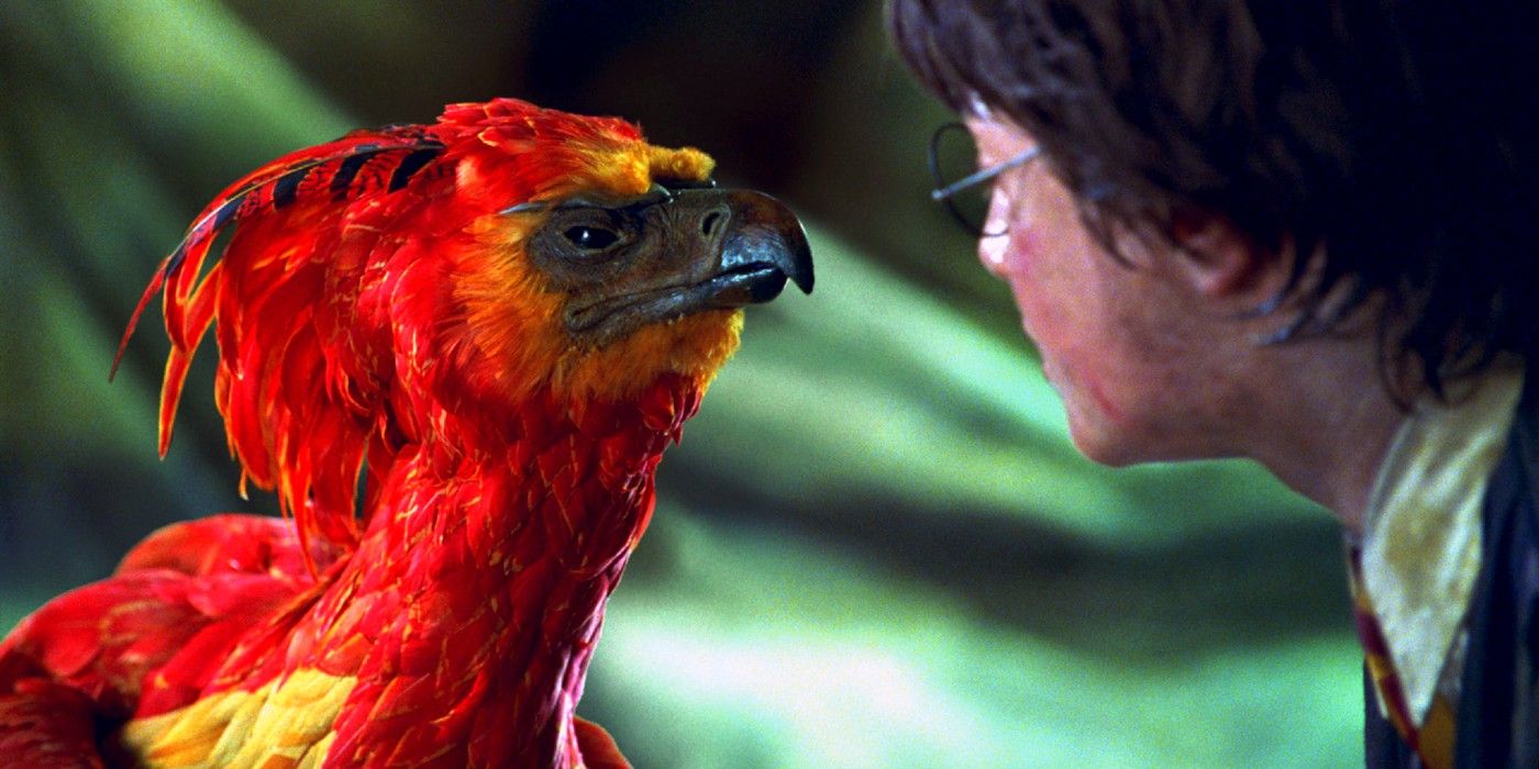 Fawkes about to heal Harry with his tears in the Chamber of Secrets in Harry Potter