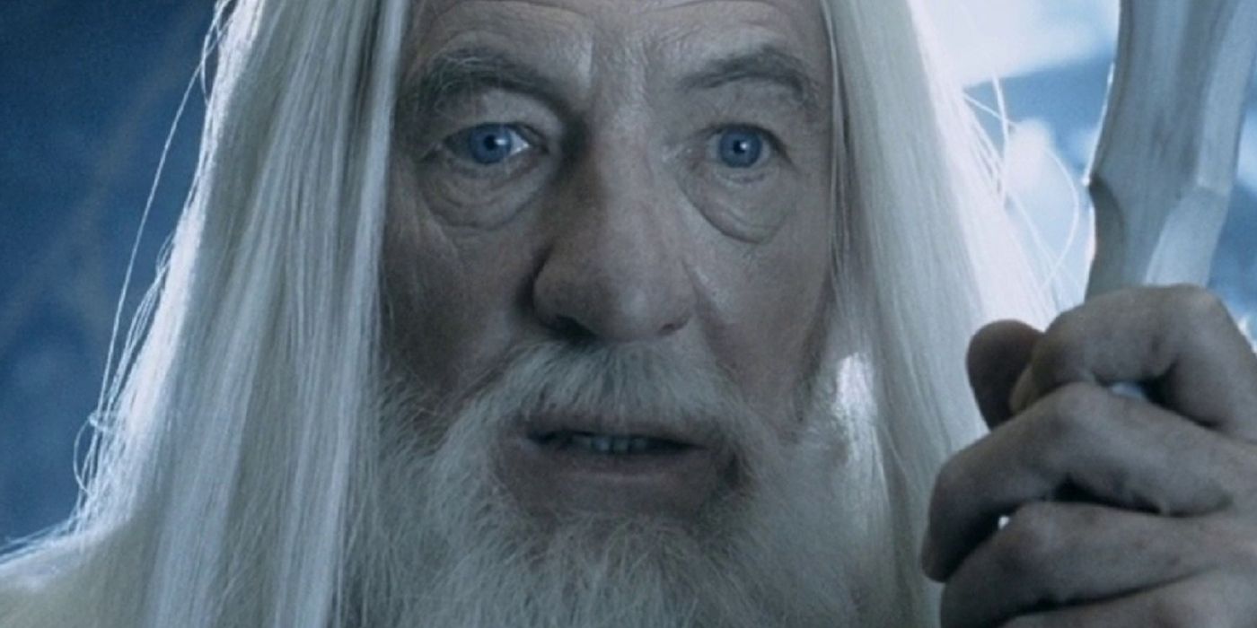 Gandalf the White from The Lord Of The Rings trilogy looks surprised.