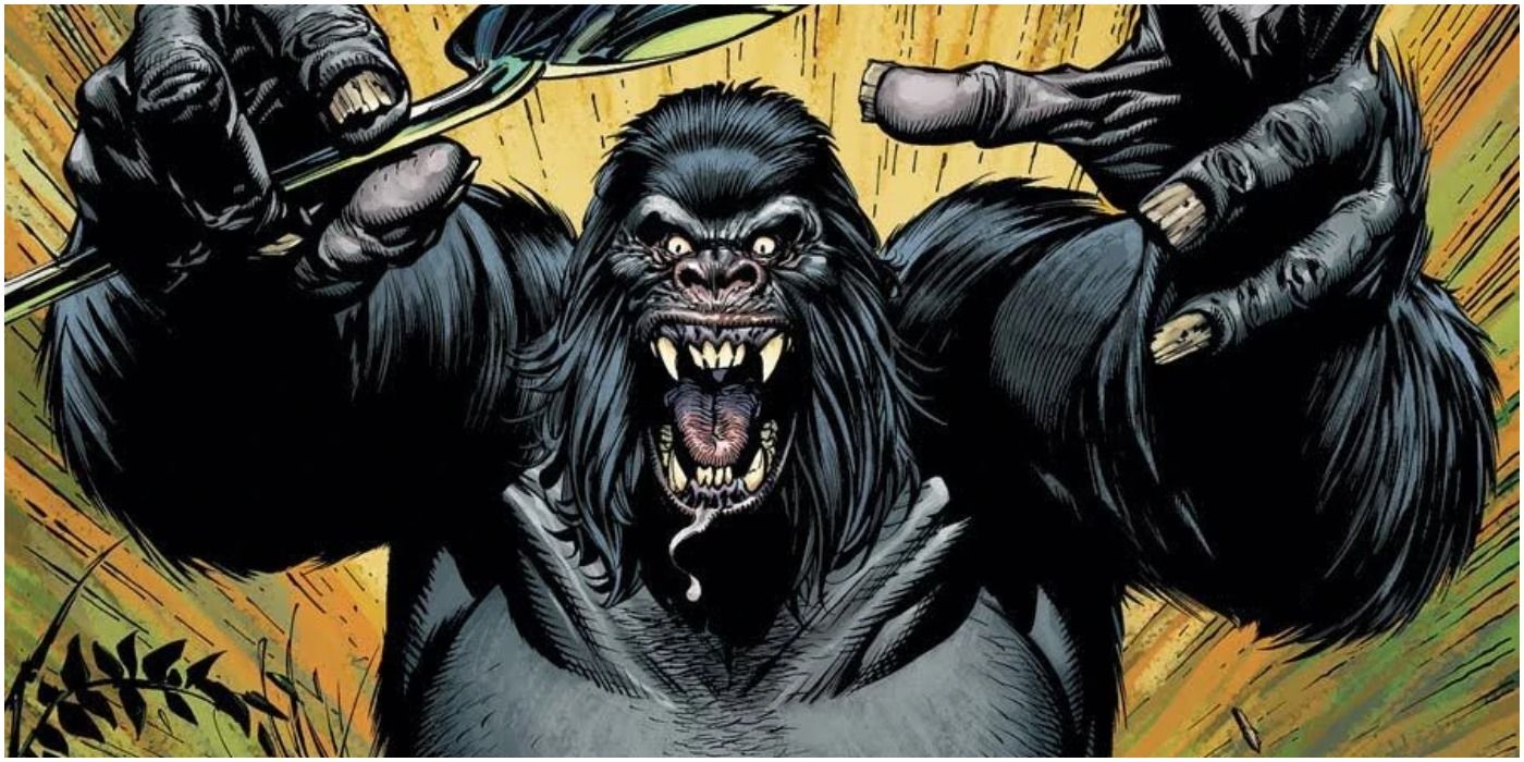 Gorilla Grodd roars in DC Comics.