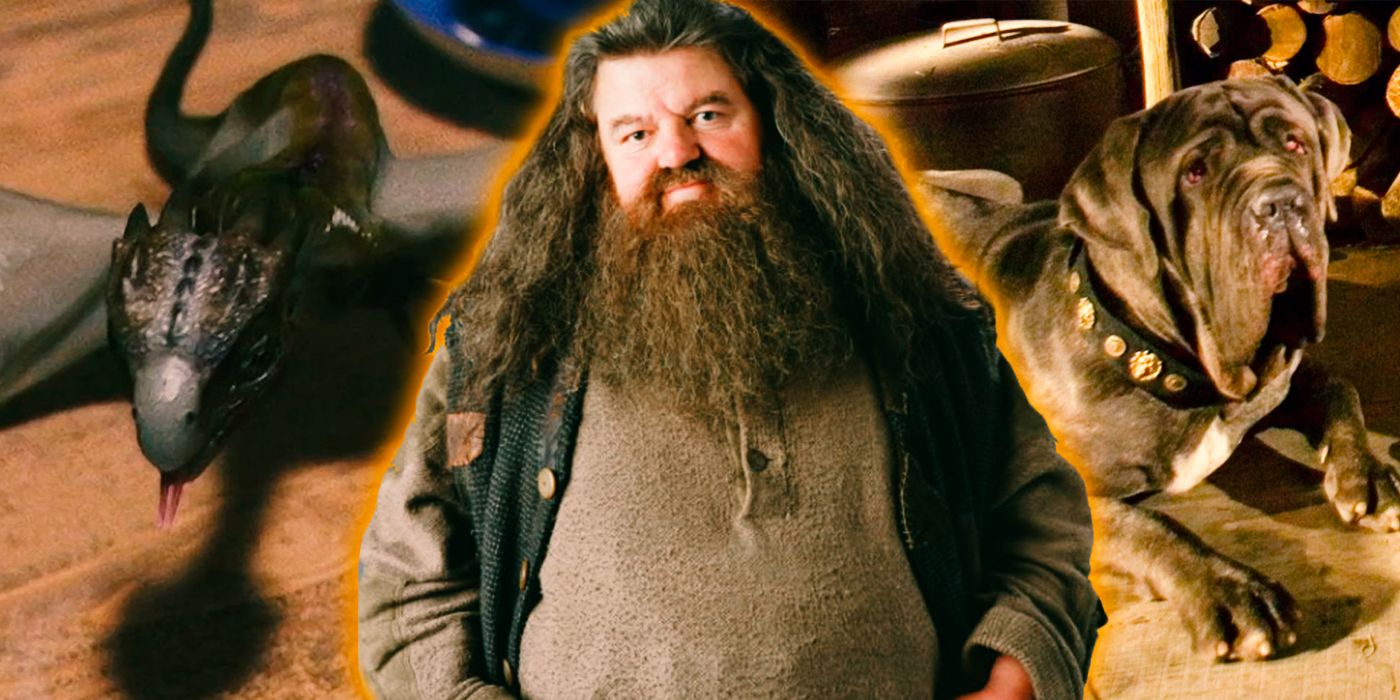 Hagrid Pets