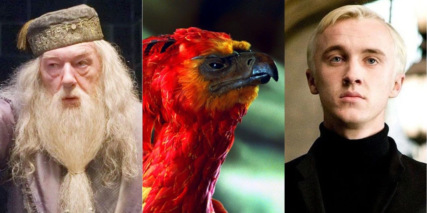 Harry Potter Debunked Theories - image of Albus Dumbledore, Fawkes, and Draco Malfoy
